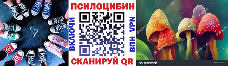 Псилоцибиновые грибы GOLDEN TEACHER  где продают   Тутаев 